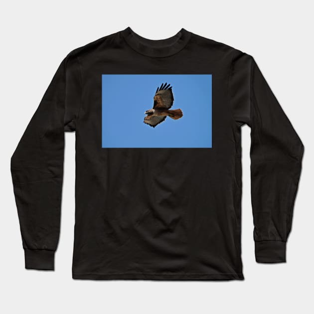 Western Red Tailed Hawk Long Sleeve T-Shirt by AH64D